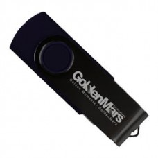 Goldenmars USB Drive 256GB