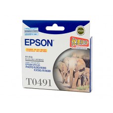 Epson T0491 Black Ink Cartridge