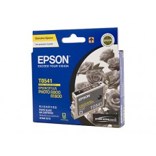 Epson T0541 Photo Black Ink